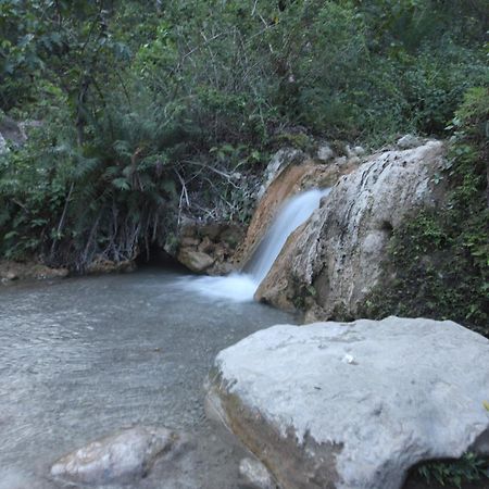 Perfect Stayz Premium Forest Valley Near Waterfall Rishikesh Exterior photo