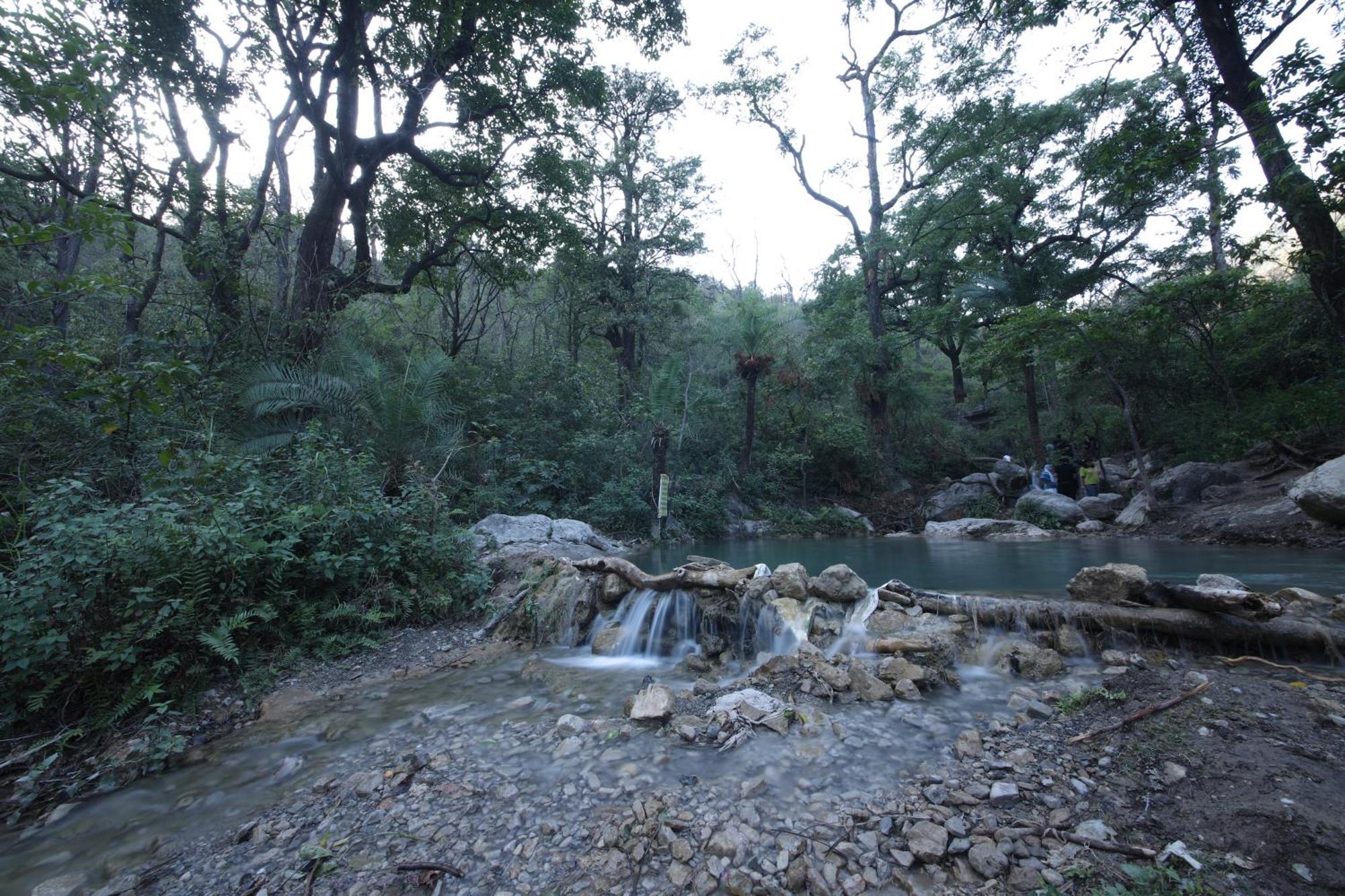Perfect Stayz Premium Forest Valley Near Waterfall Rishikesh Exterior photo